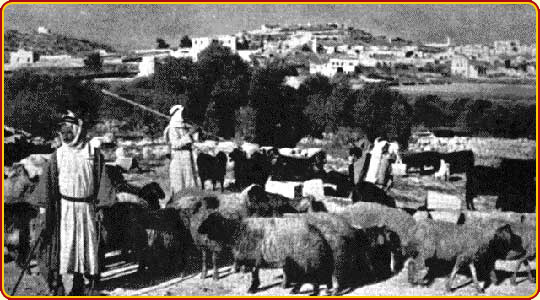 Shepherds looking over to Bethlehem - www.BiblePictureGallery.com